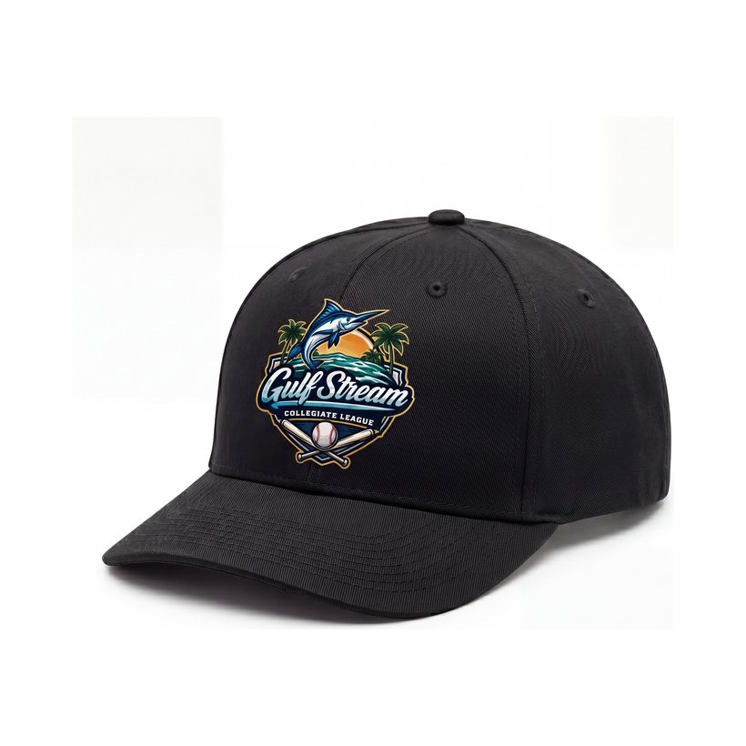Logo Snapback